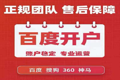搜索引擎营销（SEM）的投放策略与效果评估——以某行业领先企业的案例分析